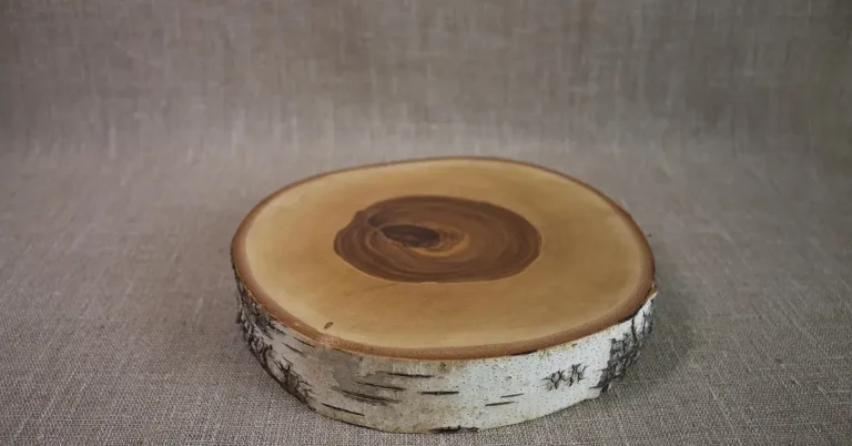 Birch wood slice with bark edge, ready for sanding and sealing for a centerpiece