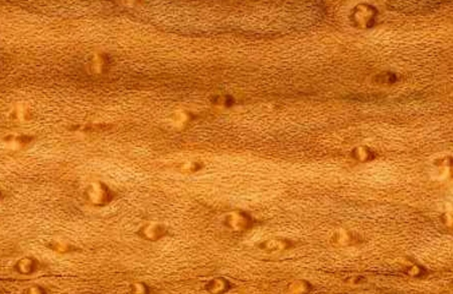 Detail view of the round eye clusters in birdseye maple veneer