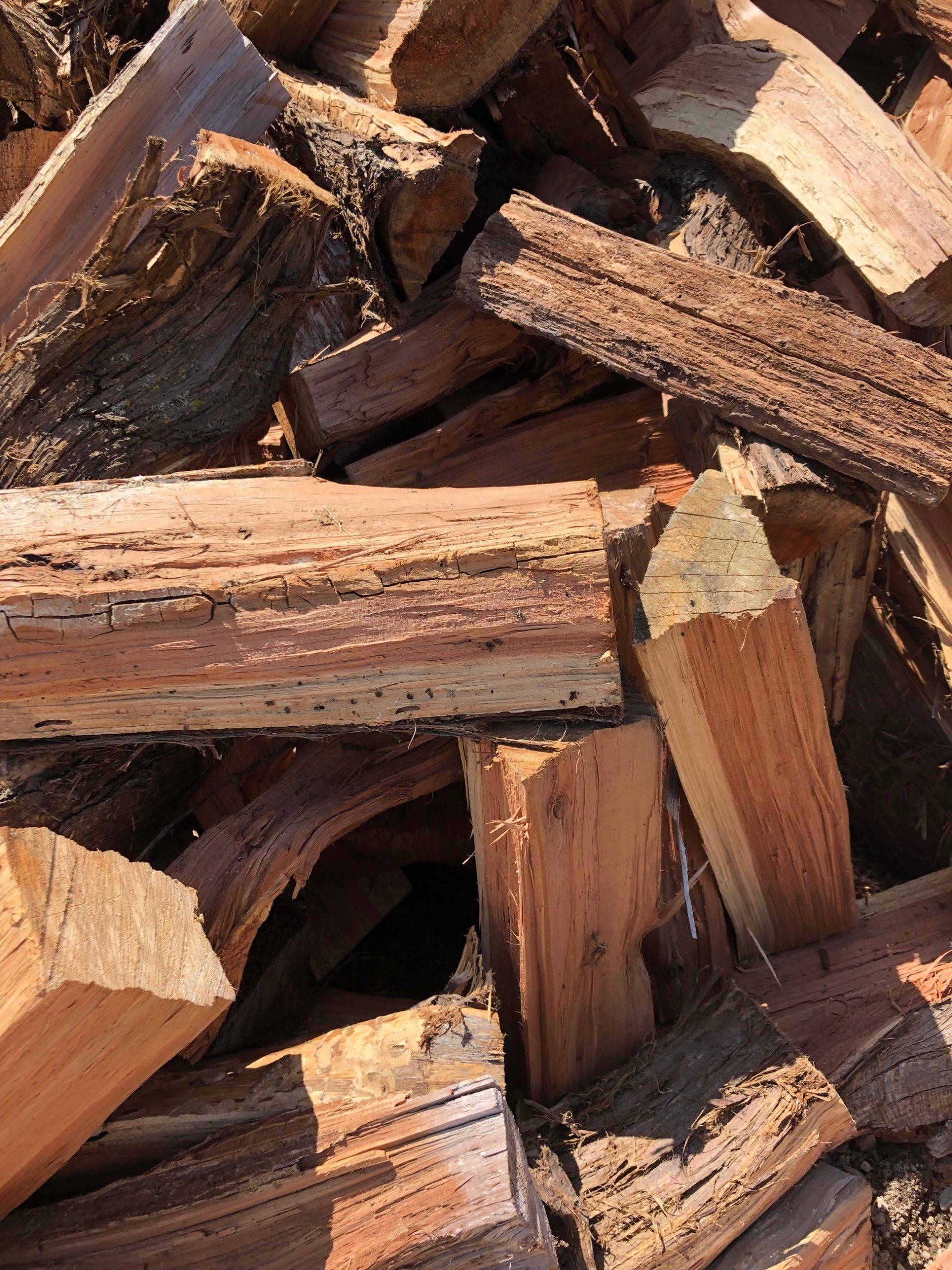 Can Cedar Be Used for Firewood