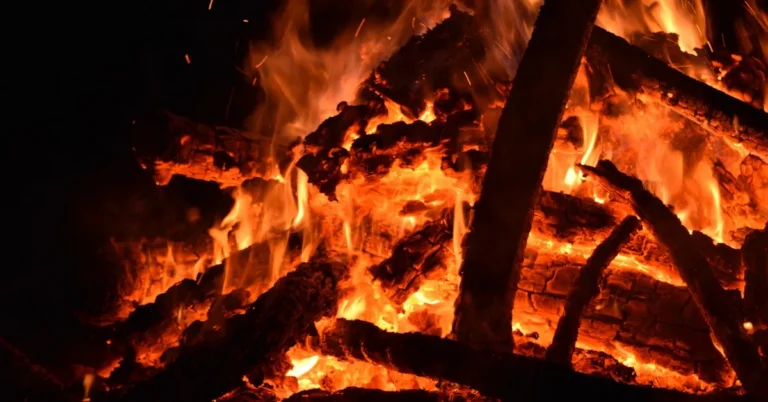 Burning split firewood logs with glowing embers and flames