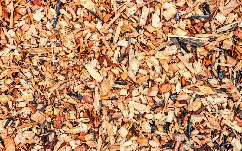 Close-up of mixed cedar bark and wood chips showing chip size variation Close-up of mixed cedar bark and wood chips showing chip size variation