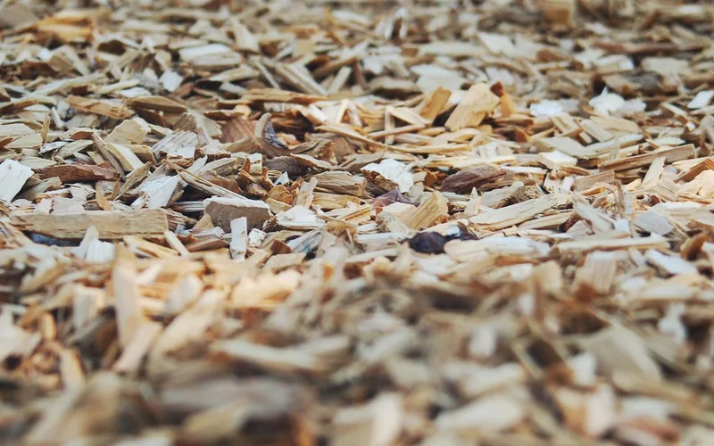 close-up of shredded cedar mulch wood chips spread in a garden bed close-up of shredded cedar mulch wood chips spread in a garden bed