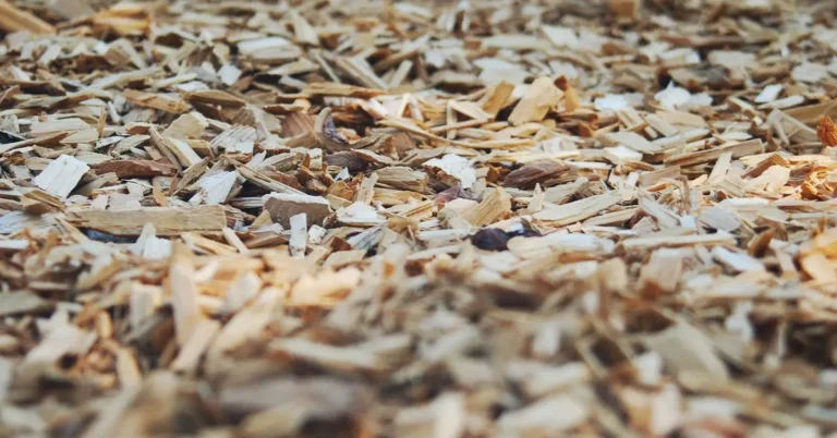 Cedar mulch wood chips used as a natural tick repellent in garden beds