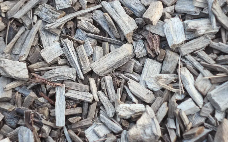 close-up of cedar wood chip mulch texture used for natural insect control close-up of cedar wood chip mulch texture used for natural insect control