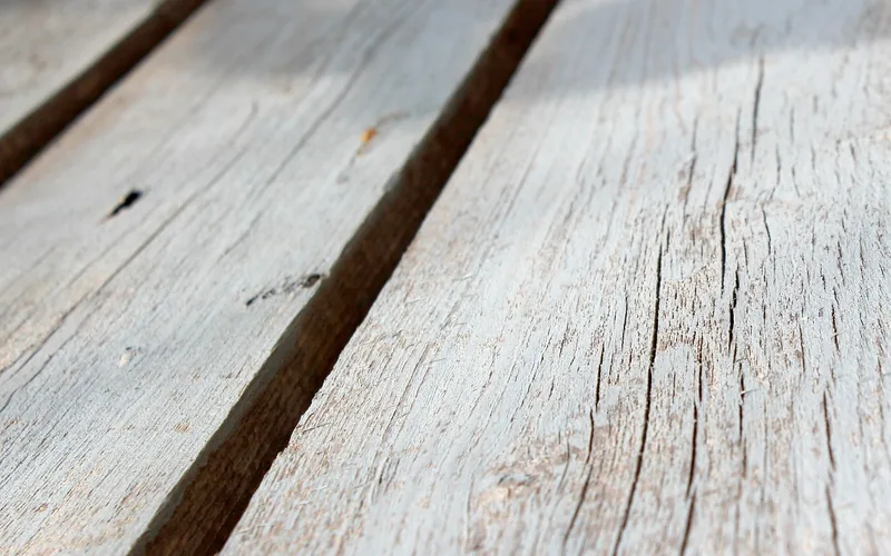 Cracked and splintering real wood deck board Cracked and splintering real wood deck board