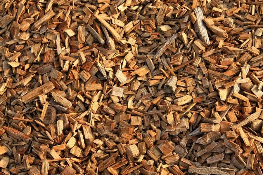 Pile of hardwood chips of the kind sold for smokers and grills