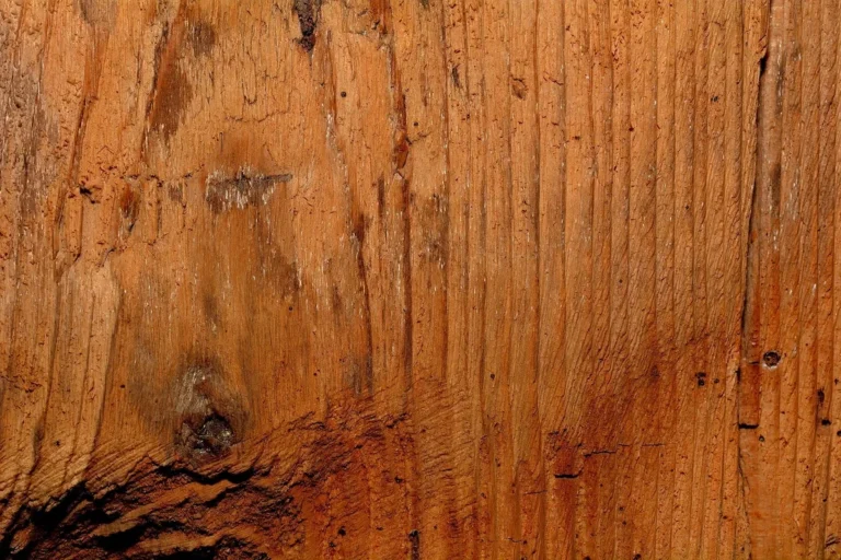 Warm-toned wood board with a dark knot and vertical grain, the look knotty alder is graded for