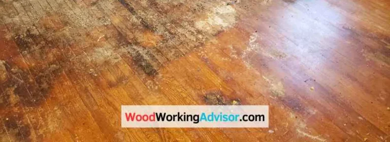 Water-stained hardwood floor showing moisture damage that drying methods prevent