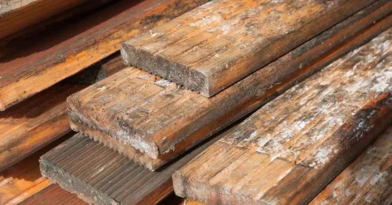 stack of pressure-treated wood planks with dark mold stains and white mildew patches