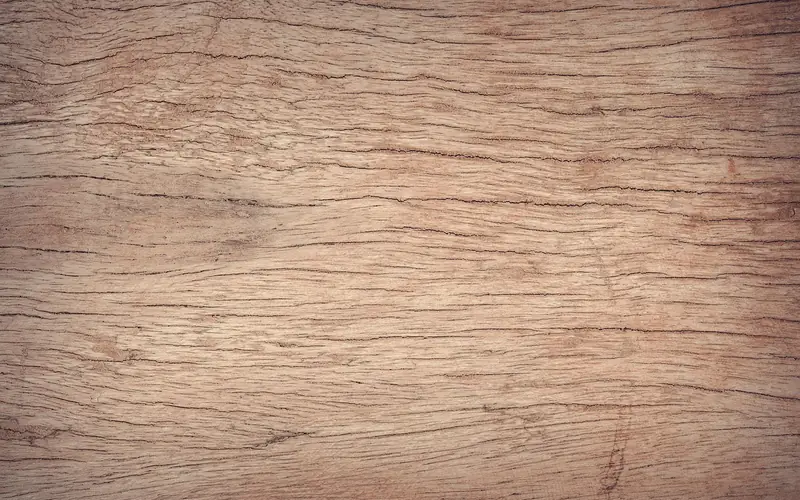 Close-up of open oak wood grain before staining