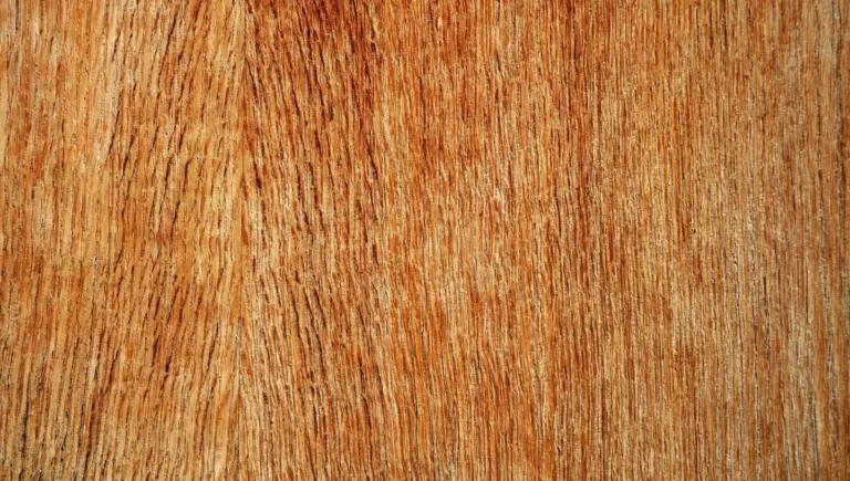 Close-up of the face veneer grain on a plywood sheet