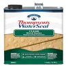 Thompson's WaterSeal Clear Wood Sealer 1 Gallon