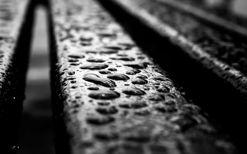 Raindrops beading on wooden slats of an outdoor deck Raindrops beading on wooden slats of an outdoor deck