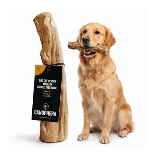 Canophera coffee wood dog chew