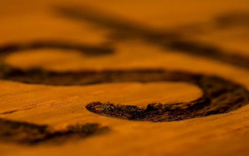 Close-up of amber dewaxed shellac finish on wood grain