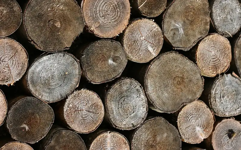 Stacked lumber showing tree ring grain patterns on end grain Stacked lumber showing tree ring grain patterns on end grain