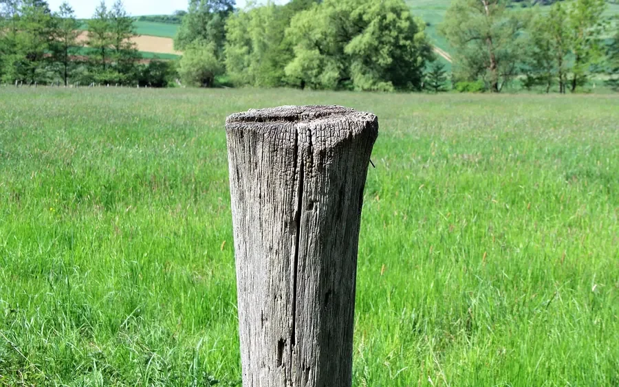 Weathered wooden fence post with a cracked, checked end grain top Weathered wooden fence post with a cracked, checked end grain top