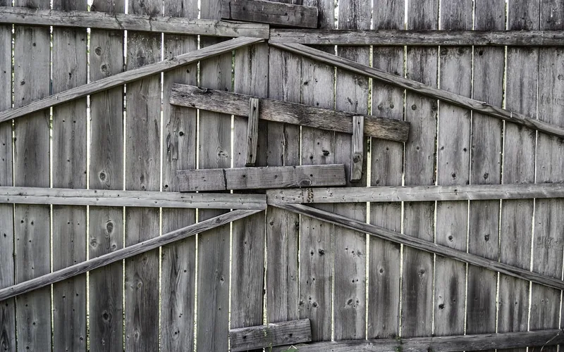 Weathered gray cedar fence boards that were left untreated for years