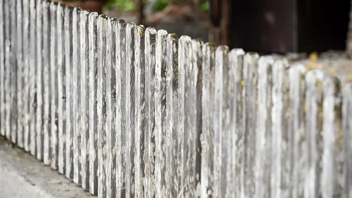 Weathered gray wooden picket fence with moss and lichen along the top of the pickets
