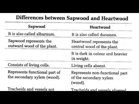 What is the Difference between Heartwood And Sapwood