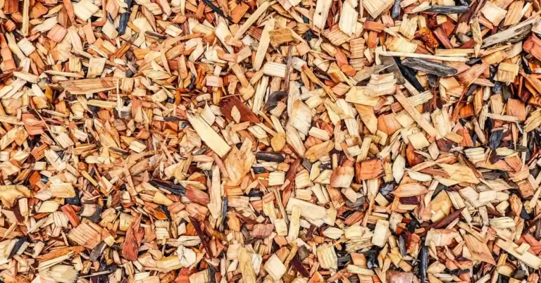 wood chip mulch spread over a garden bed to deter weeds and insects
