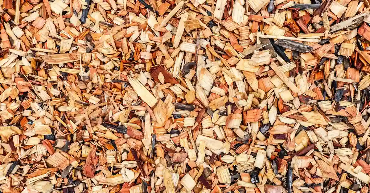 wood chip mulch spread over a garden bed to deter weeds and insects wood chip mulch spread over a garden bed to deter weeds and insects