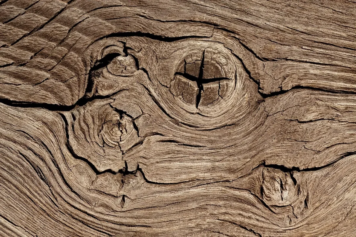 Close-up of a wood knot with grain swirling around it and small checks in the surface