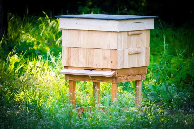 Wooden two-box beehive on a stand in a green meadow