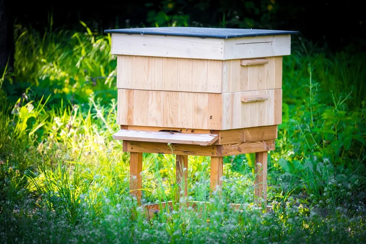 Wooden two-box beehive on a stand in a green meadow