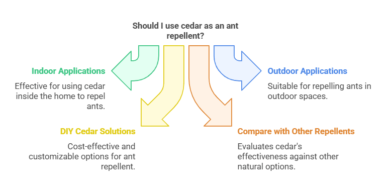 Does Cedar Repel Ants