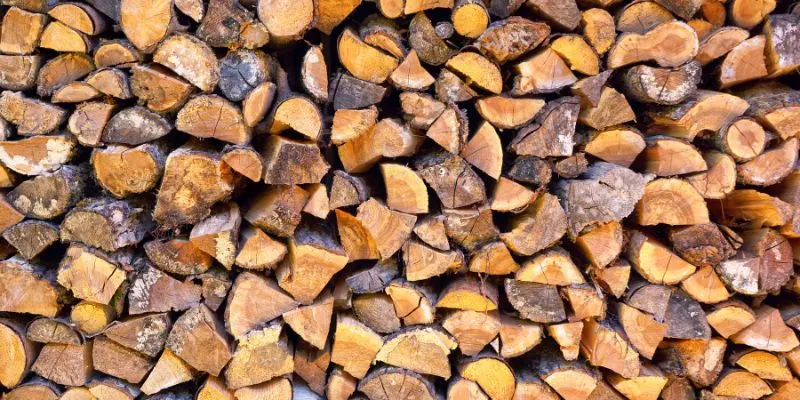 Does Walnut Make Good Firewood