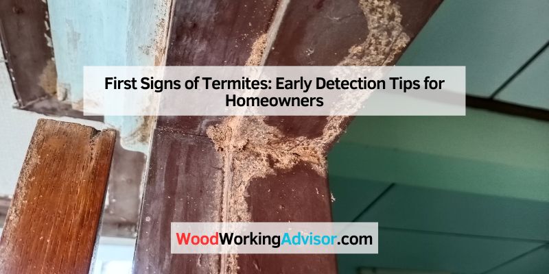 First Signs of Termites: