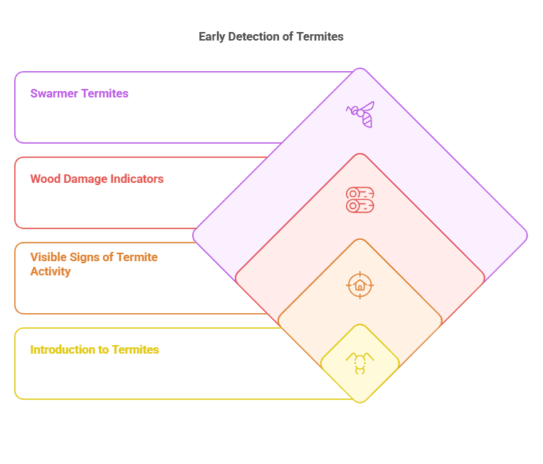 First Signs of Termites