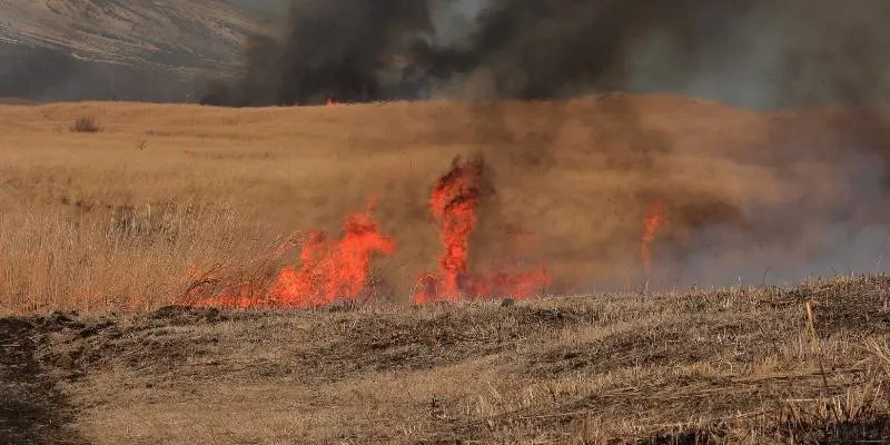 How to Get Burn Marks off Counter