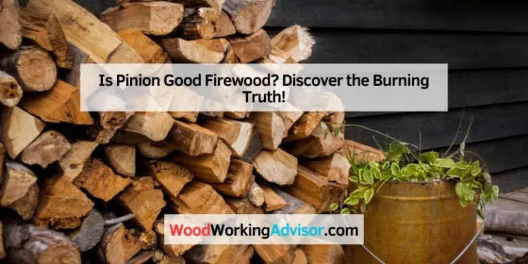 Is Pinion Good Firewood
