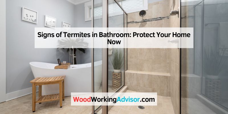Signs of Termites in Bathroom