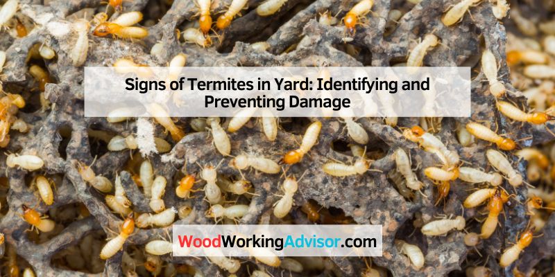 Signs of Termites in Yard