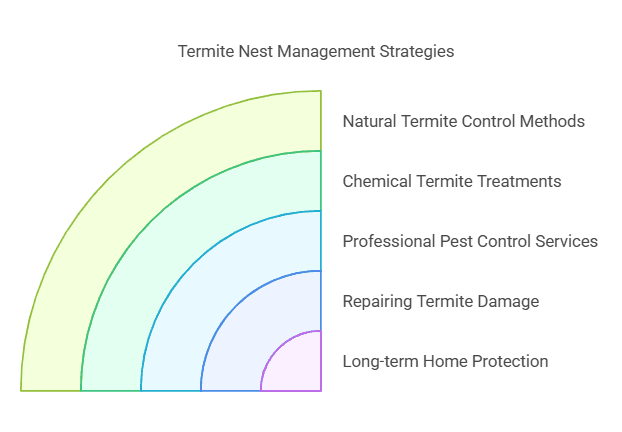 Termite Nest on Wall