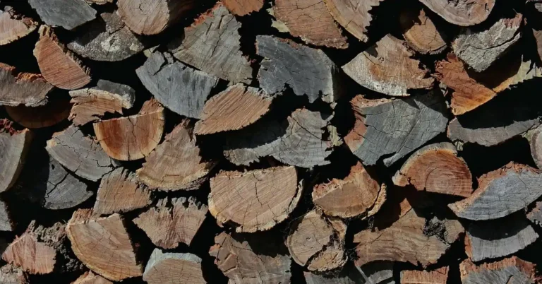 seasoned black walnut firewood split and stacked outdoors