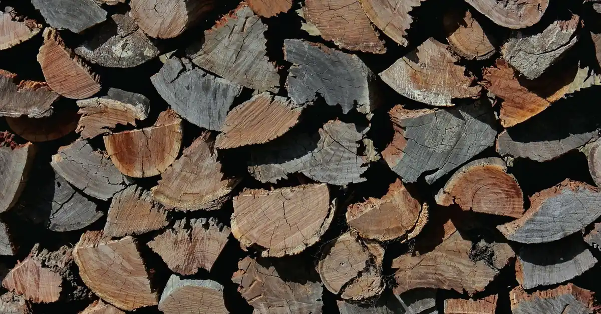 seasoned black walnut firewood split and stacked outdoors seasoned black walnut firewood split and stacked outdoors