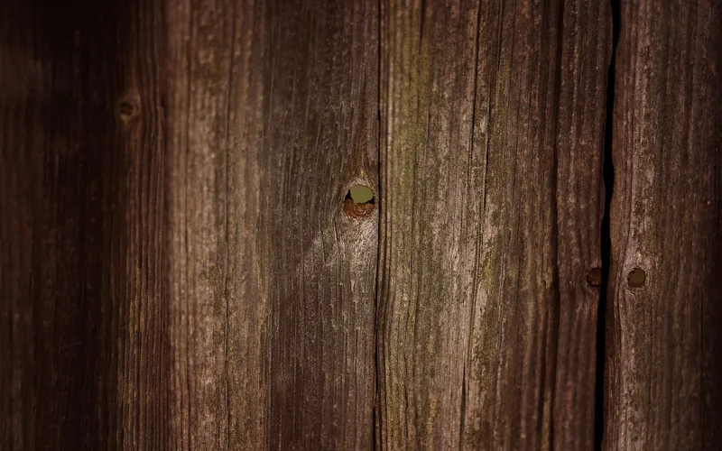close-up of natural cedar fence board grain along a backyard property line