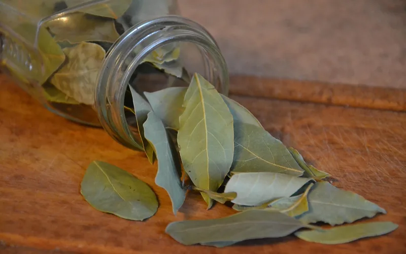 Dried bay leaves spilling from a jar, a natural herb used to repel wood roaches