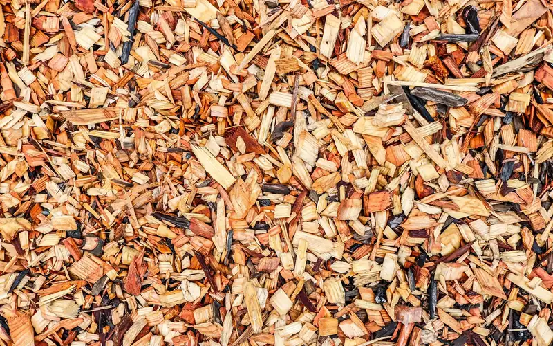 close-up of fresh cedar mulch wood chips with visible color and texture