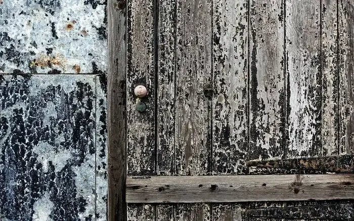 Weathered wood door with layers of old black and white paint flaking off
