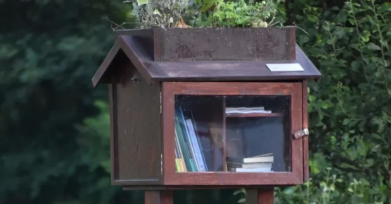 Wooden book-sharing box with a glass door mounted on a post outdoors