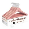 HOUSE DAY Cedar Hangers, 10 Pack
