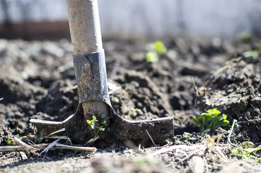 Garden spade standing in loose soil ready for digging a post hole Garden spade standing in loose soil ready for digging a post hole