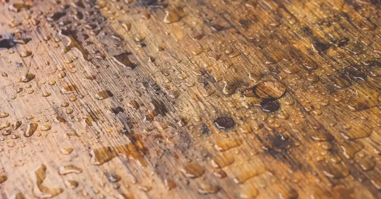 Is Teak Water Resistant? Yes, But Not Waterproof (Here’s Why)