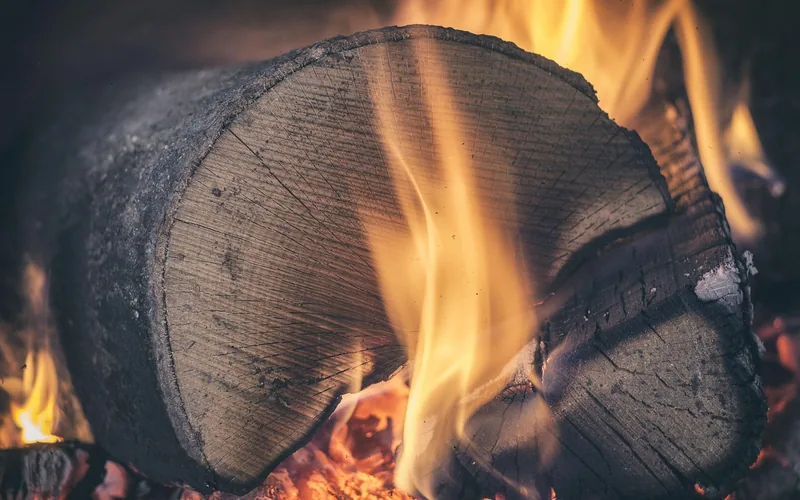 walnut firewood log burning with visible flame in a fireplace walnut firewood log burning with visible flame in a fireplace