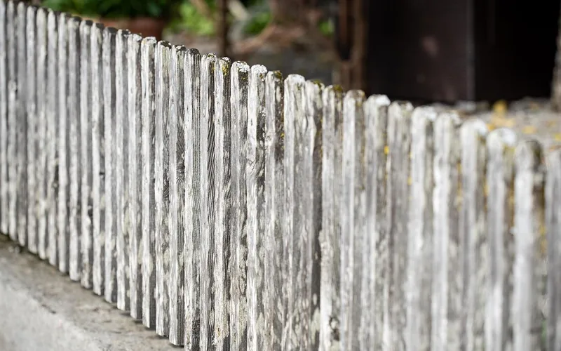 Weathered gray cedar fence boards Weathered gray cedar fence boards showing natural silvering from UV and moisture exposure